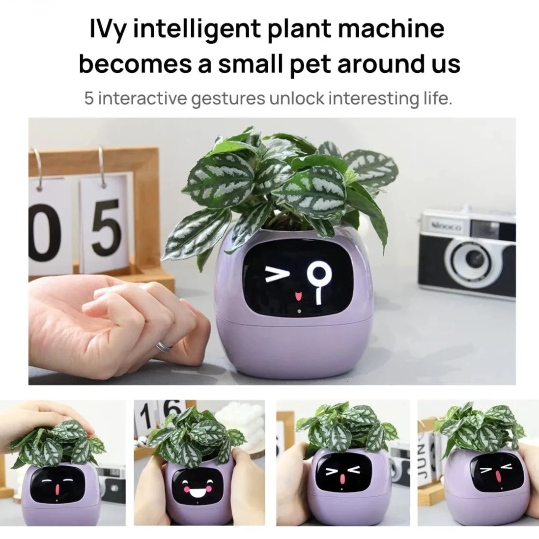 Ivy Smart Planter