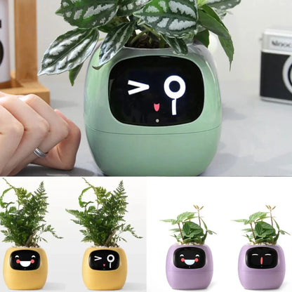 Ivy Smart Planter